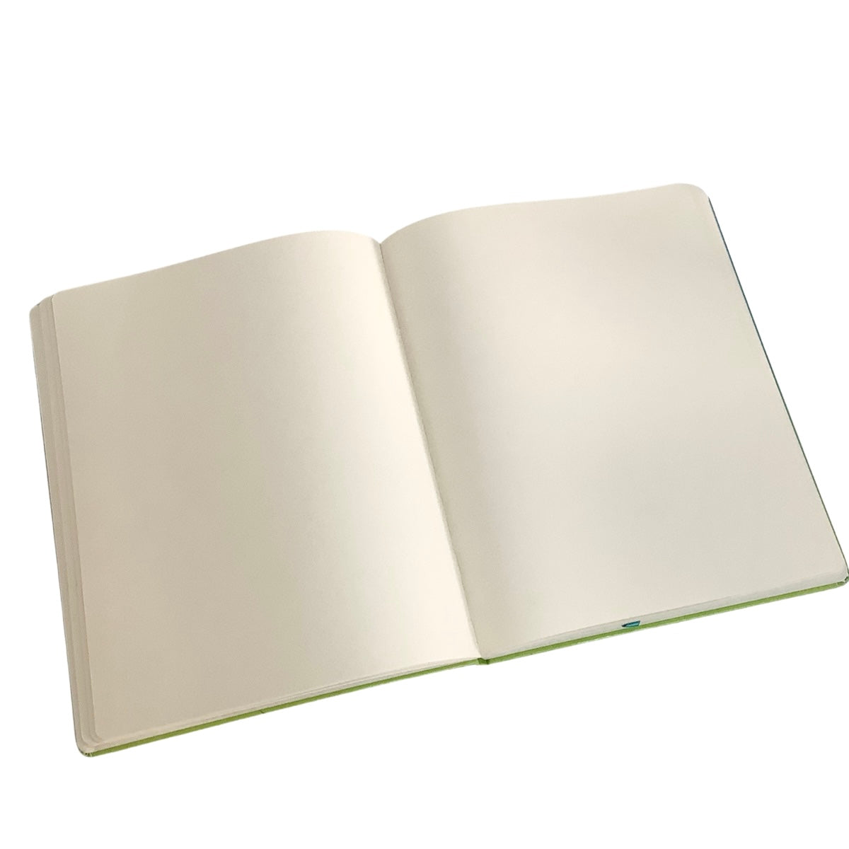 Acar Termo Deri Esnek Kapaklı Degrade Turkuaz-Yeşil 20*25 Cm Çizgisiz Defter