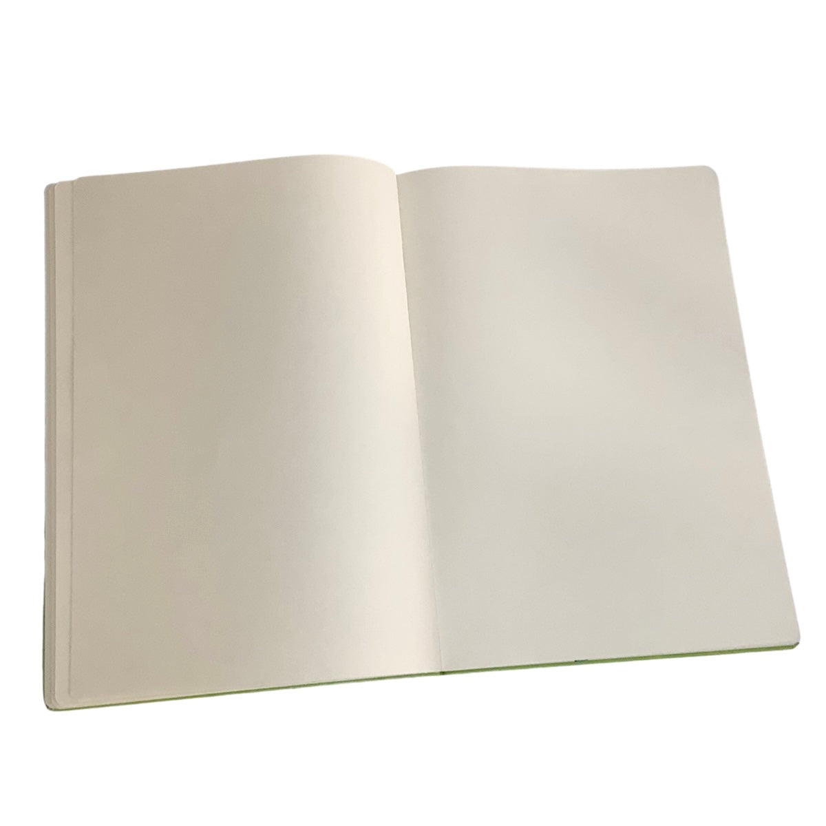 Acar Termo Deri Esnek Kapaklı Degrade Turkuaz-Yeşil 21*30 Cm A4 Çizgisiz Defter