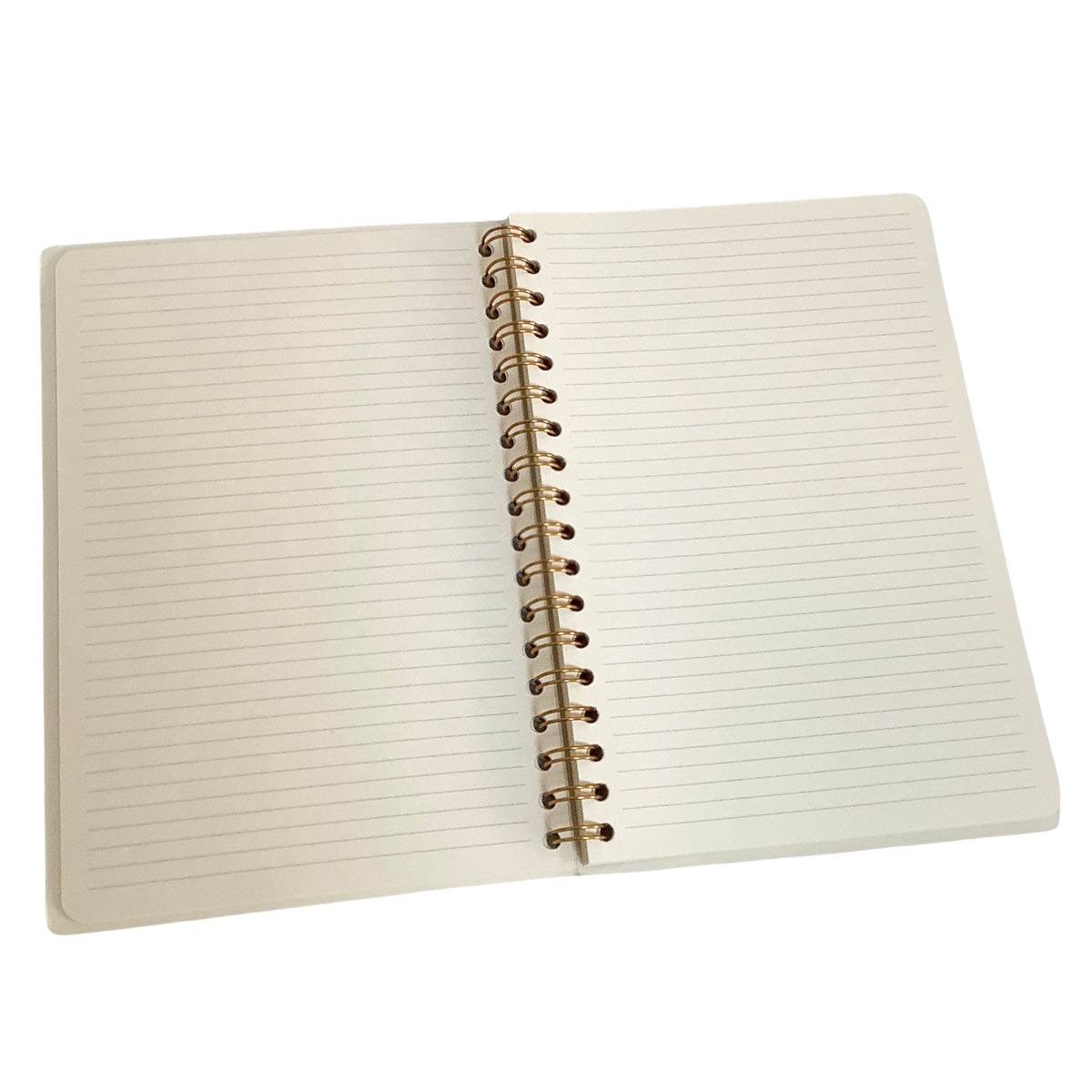 Acar Termo Deri Spiralli Esnek Kapaklı Degrade Turkuaz-Yeşil 16*24 Cm Çizgili Defter
