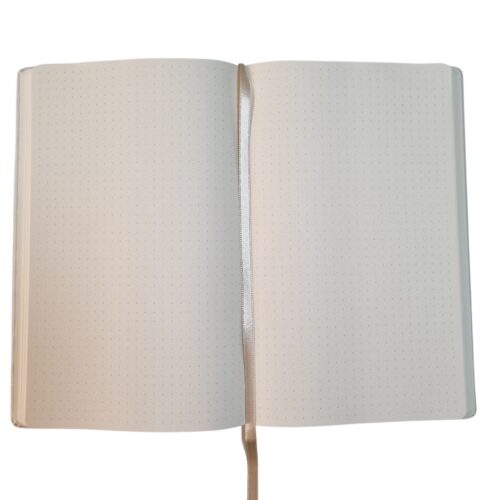 Ketenkapaklı dotsayfalı defter iç